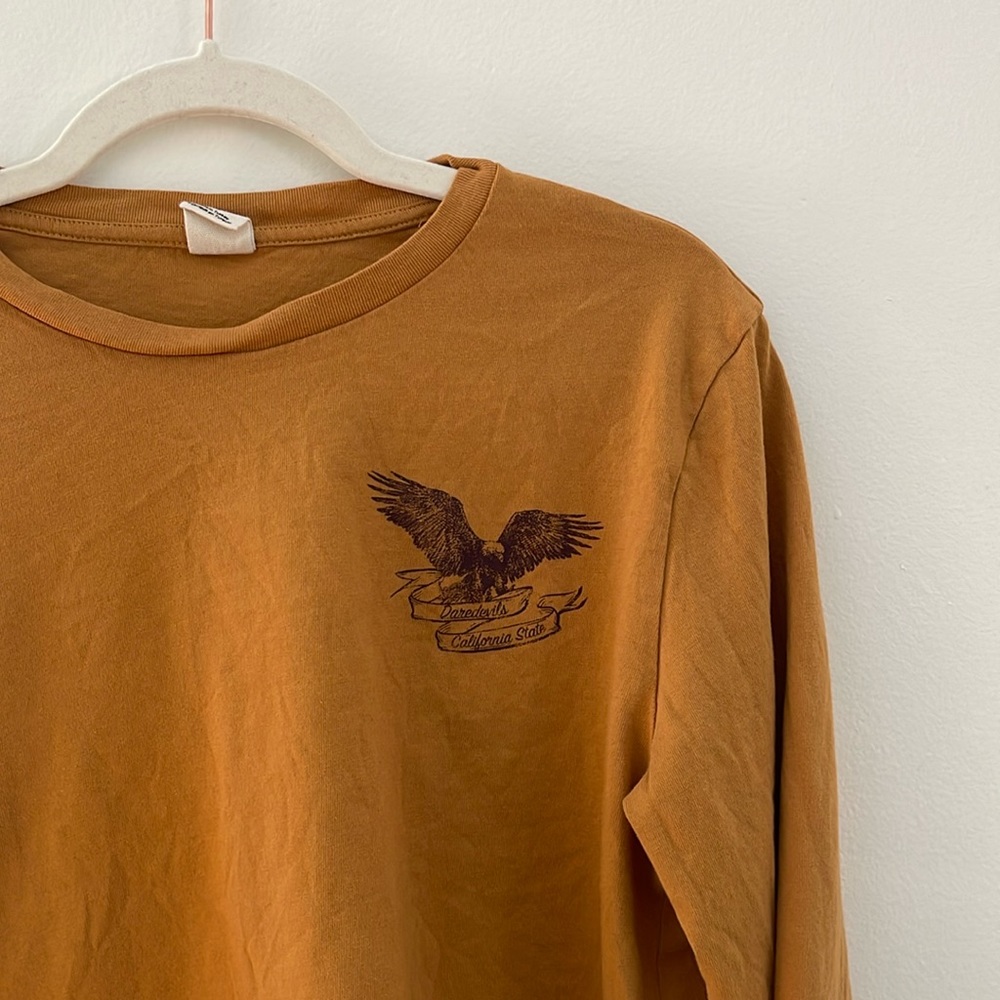 Cropped long sleeve vintage top